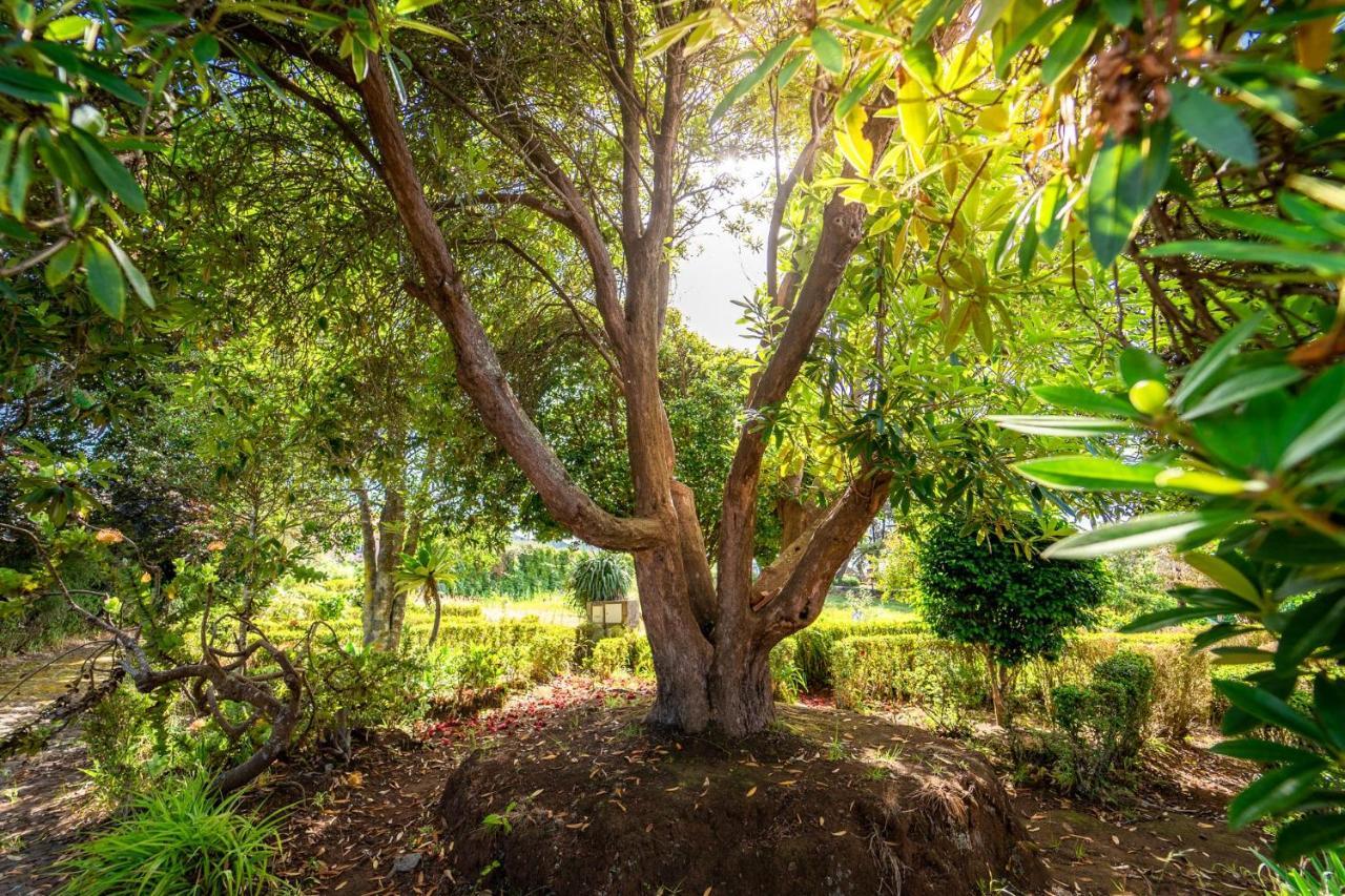 Вилла Casa Da Tia Clementina Сантана Экстерьер фото